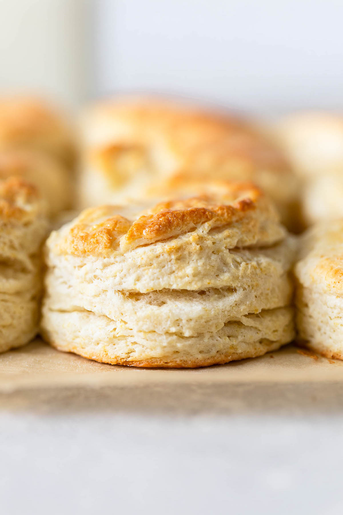 A side view of rows of homemade buttermilk biscuits on parchment paper. 