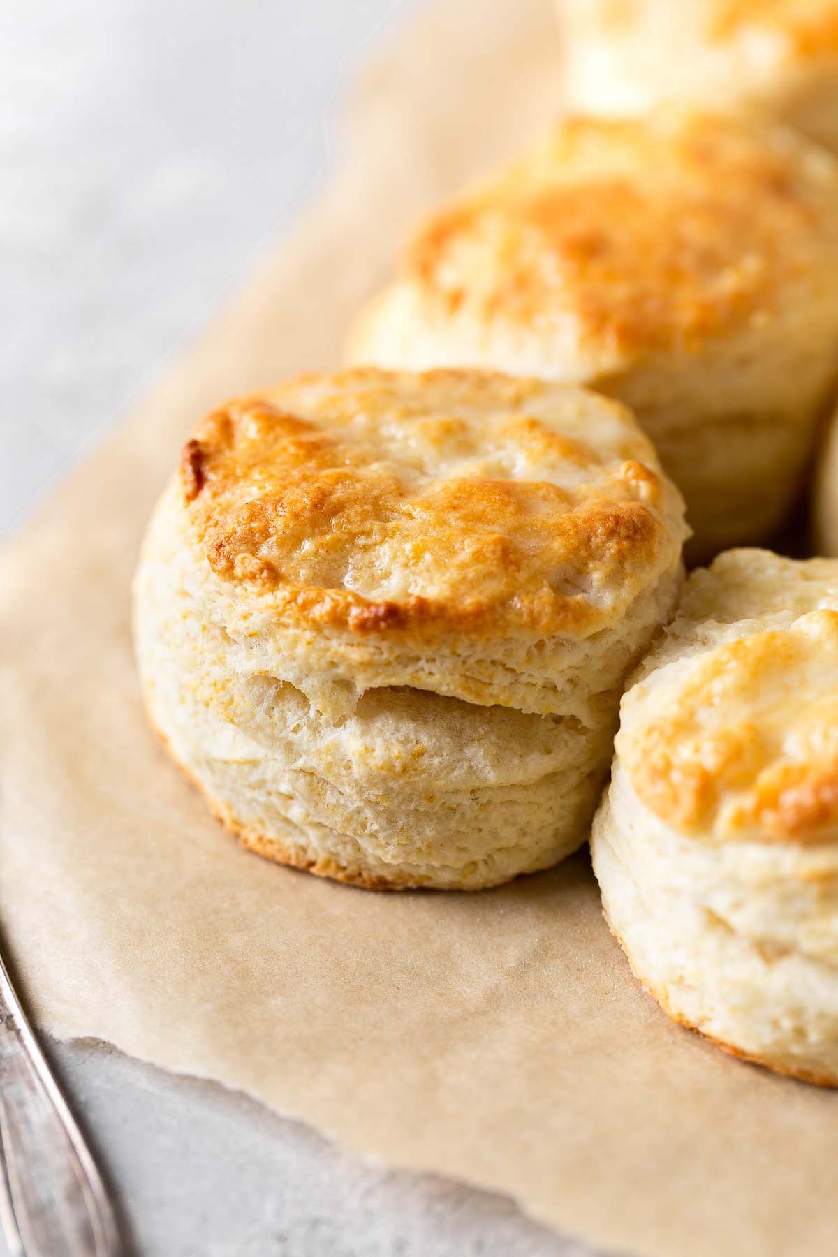 Baked biscuits on a piece of parchment paper. 