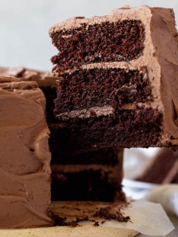 A single piece of a layered chocolate cake being removed showing the different layers.