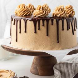 A chocolate peanut butter cake on a wooden cake stand. The cake is topped with a chocolate ganache drip and swirls of peanut butter frosting.
