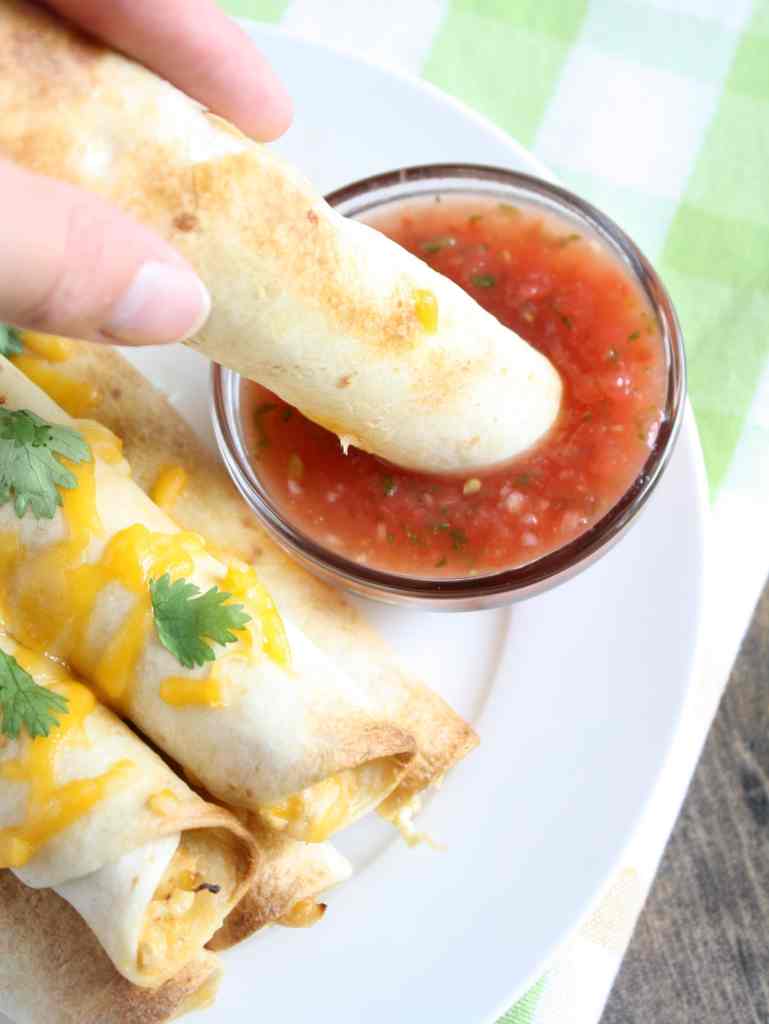 A chicken cream cheese taquito being dunked into a dish of salsa. 