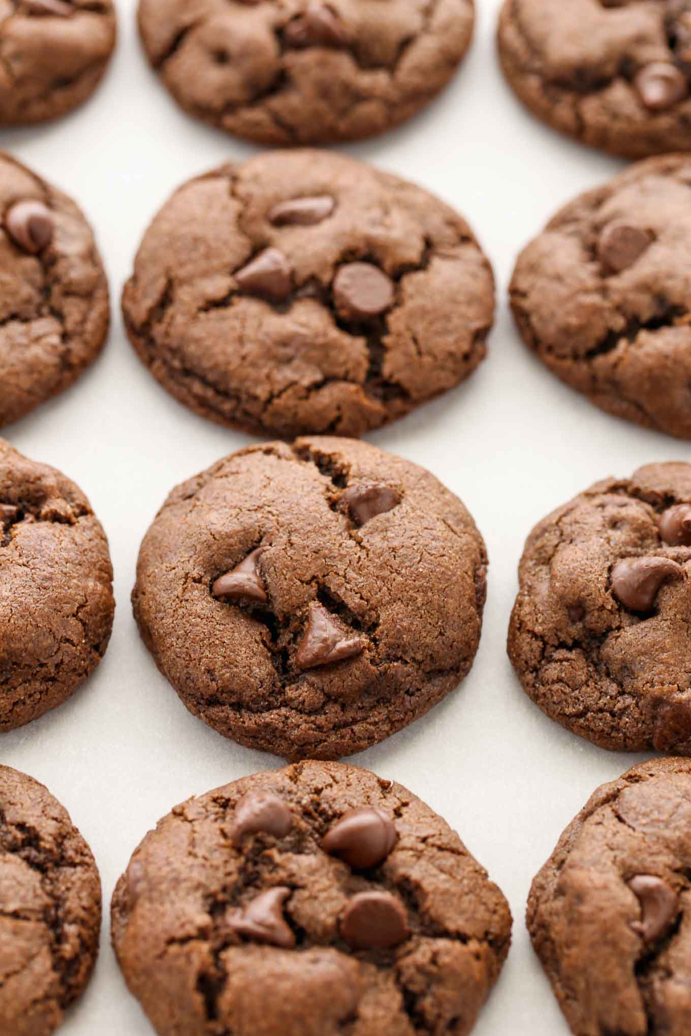 Three rows of double chocolate chip cookies on a piece of parchment paper.