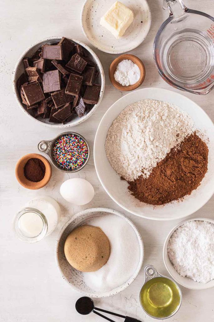 An overhead view of the ingredients needed to make chocolate cake pops. 