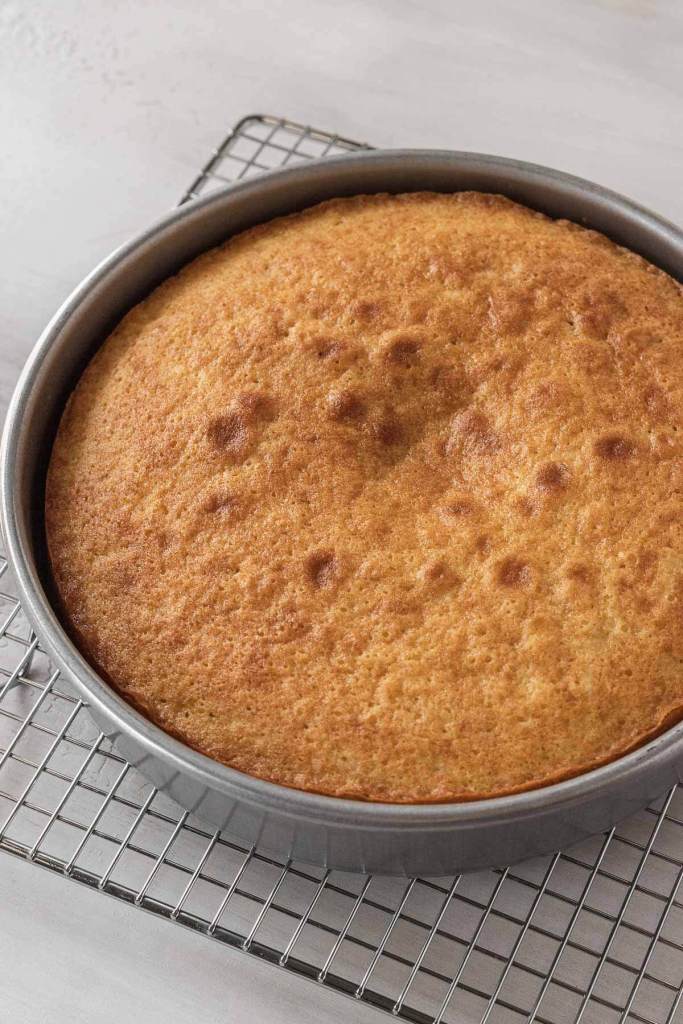 A baked vanilla cake cooling in its pan on top of a cooling rack. 