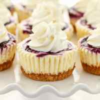 Side view of lemon blueberry cheesecake bites topped with whipped cream on a white cake stand.